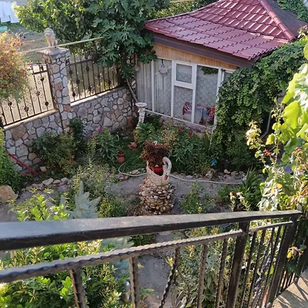 Tarra Studio10 Mangalia