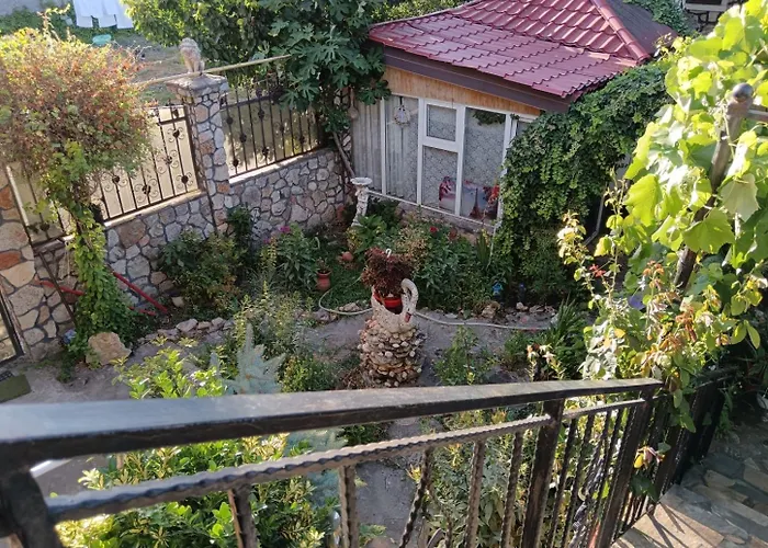 Tarra Studio10 Mangalia